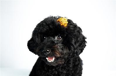 《木卫四协议》3D街头广告 怪物扑面而来路人吓尿